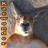 Kaewonder a dèaux AKA He who shall not 1/2 step