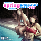 Yankee's House & Electro MashUp #36 - Spring Break Mix (2014)