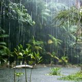 dimanche sous la pluie