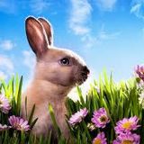 2013 ZAKOMATIQUE VOL. 22 (EASTER EDITION)