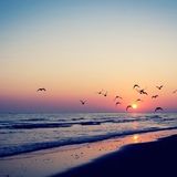 Saltwater