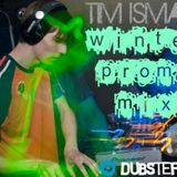 Tim Ismag - DUBSTEP PROMO MIX Winter 2011