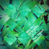 Words On Tracks /28 feat. Stefano Guzzetti