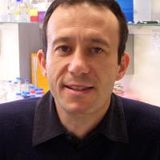 Ciência aos Domingos #10 - Lino Ferreira (CNC)