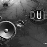 DuBWiZaRd - Roots Dub Reggae Promo Mix