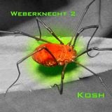 Weberknecht 2