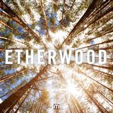 Etherwood (Med School Music) @ The Daily Dose Mix - MistaJam Radio Show, BBC 1Xtra (05.11.2013)