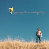 Dj goranga - It's a wonderful life