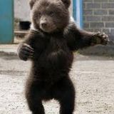 Misja Xampl " A Bear Teaser "