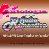 Antologia de la Salsa Romantica VI