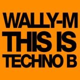 Wally-M - This Is Techno (Side B Night)