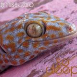 djmisscaro SO-deep