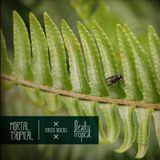 Mortal Tropical mixtape (Julio 2014)