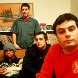 AVALANCHES at home
