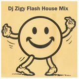 FLASH HOUSE mix by Dj Zigy