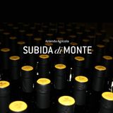 Subida di Monte