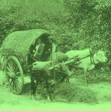 The Otherly, Quivion Mix 17. Electronic, film samples, deep bass, experimental.