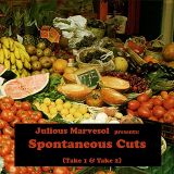(EGAMIMIX002) VA - Julious Marvesol presents...Spontaneous Cuts (Take 1), 2010