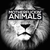 EDM Summer Mix 2014