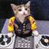 Mr Woggle- Sunday Morning Pt Two Dec2010