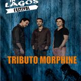 Tribute Morphine ao vivo @Festival In Lagos 2015