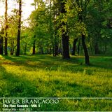 The Fine Sounds Vol.1 @ Javier Brancaccio (Promo Mix Abril 2013)