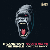 #GoApe No.1 - SA Tour Mix by Culture Shock