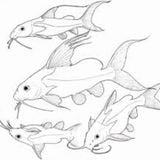 Barbounia me Moustaki by Yannis