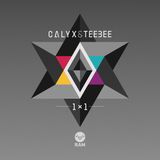 Calyx & Teebee (RAM Records) @ Sirius XM Electric Area - New York (26.02.2016)