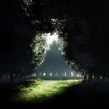 UnKnown01