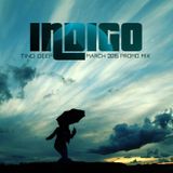 Tino Deep - Indigo (March 2015 Promo Mix)