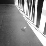 I change shapes just to hide in this place