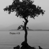 Flegma #20