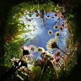Flower Trip Mix
