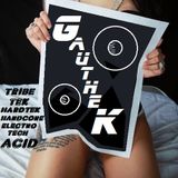 LiveSet ElectroTek