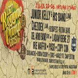 Selector Fidelity - LB Reggae Camp 2015 mixtape (vinyl mix)
