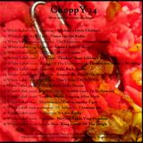 SeeWhy ChoppY14