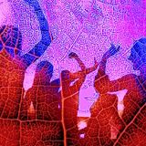 ECSTATIC DANCE AMSTERDAM 10/04/2016