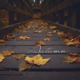 Jason Bently - Autumn