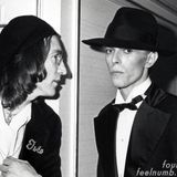 The Beatle Bug - Bowie and the Beatles