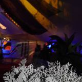 Lsd-Licious int Loungevity Tent @ Solfest 2015