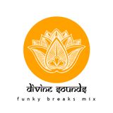 Divine Sounds Funky Breaks