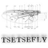 Tse Tse Fly - January 30th 2015
