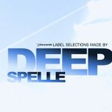 I Records Selection Made By Deep Spelle