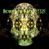 Borealis MixX 10
