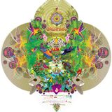 AkaSha Vibes @ Organika Festival 2015 Costa Rica