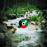 Fingers in the Noise - After Sunny Sunday Podcast (MixLr Live)