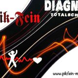 PIK-FEINs - Diagnose ...TOTALSCHADEN!!! ⎜ 01.05.13