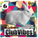 CLUBVIBES RADIO SHOW with MATT THE HOUSE FOX / 06
