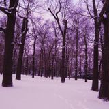 A Winter's Journey